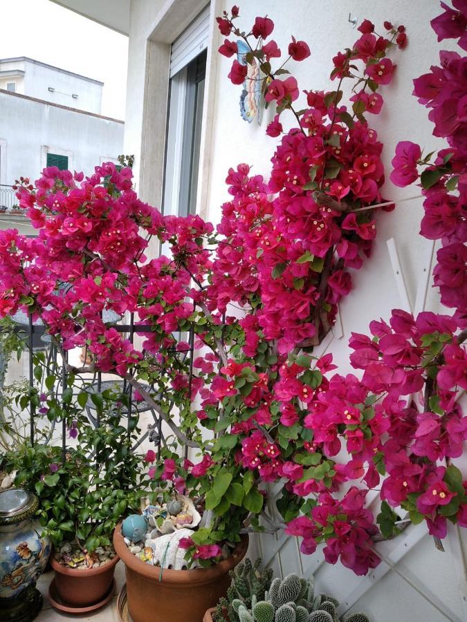 Ferienwohnung Ca Mea Alberobello Exterior foto